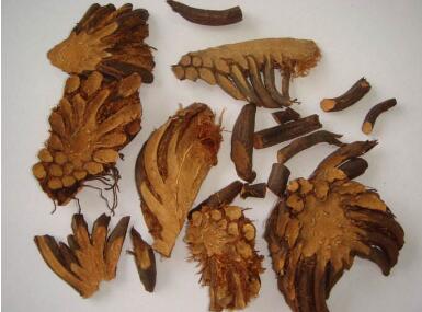 绵马贯众的炮制方法及原理作用功效_不同炮制方法有哪些