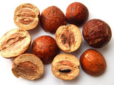 川楝子的炮制方法及原理作用功效_不同炮制方法有哪些