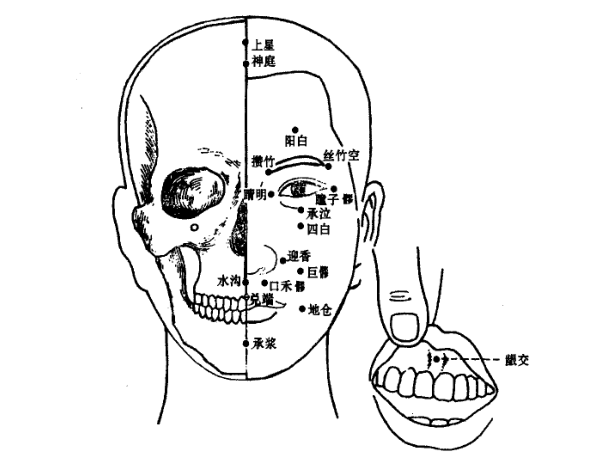 承浆穴的作用与功效_准确位置、取穴方法与针刺方法