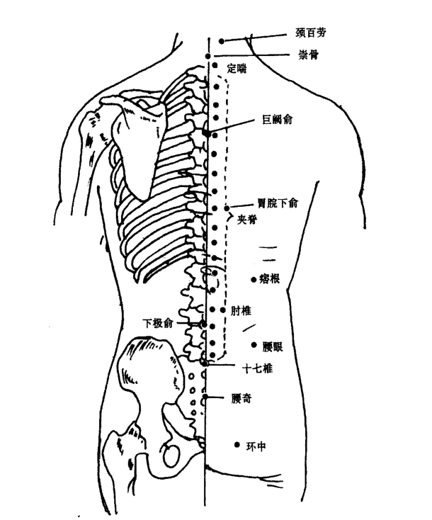 夹脊穴的作用与功效_准确位置、取穴方法与针刺方法