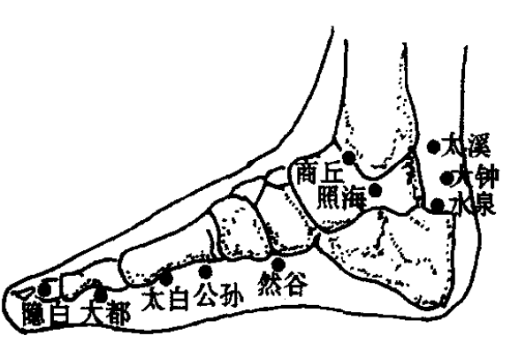 QQ截图20200205170601.png