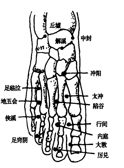 陷谷穴的作用与功效_准确位置、取穴方法与针刺方法