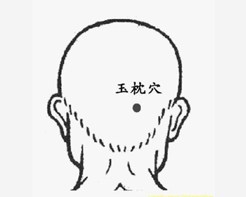 玉枕穴的准确位置图和作用_位置怎么找?常用配伍与功效