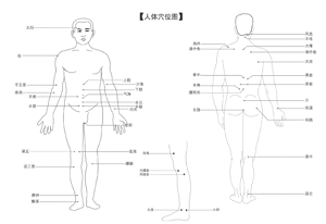 咳嗽针灸治疗处方与部位方法_针刺哪里穴位效果最好