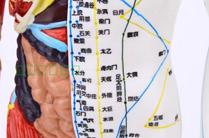 脱证针灸治疗处方与部位方法_针刺哪里穴位效果最好