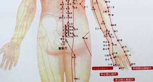 大肠俞穴的神奇作用与功效_别名归经、现代应用研究