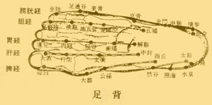 石门穴的神奇作用与功效_别名归经、现代应用研究