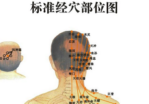 少府穴的神奇作用与功效_别名归经、现代应用研究