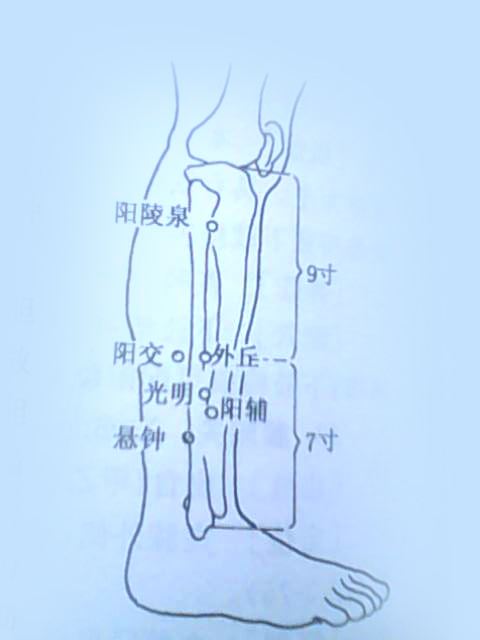 外丘穴的准确位置图和作用_位置怎么找?常用配伍与功效