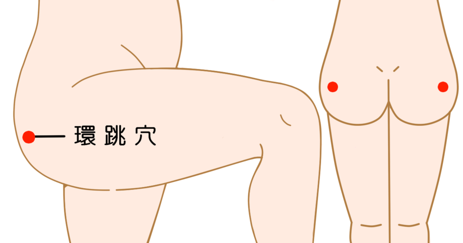 环跳穴的准确位置图和作用_位置怎么找?常用配伍与功效