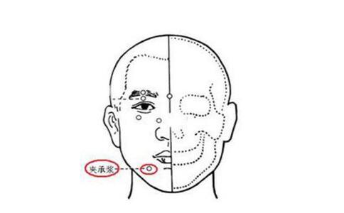 夹承浆穴的准确位置图和作用_位置怎么找?常用配伍与功效