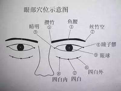 攒竹穴的准确位置图和作用_位置怎么找?常用配伍与功效