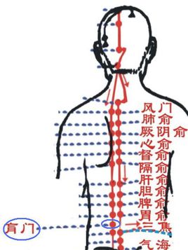 肓门穴的准确位置图和作用_位置怎么找?常用配伍与功效