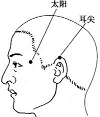 u=4080970511,673288981&fm=26&gp=0.jpg