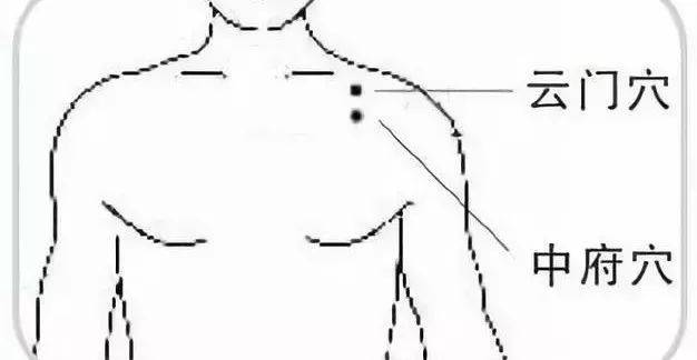 6779d0d516e347d58c5c8edb48eae233.jpeg