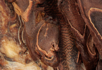 1590219035912829.png 98.png