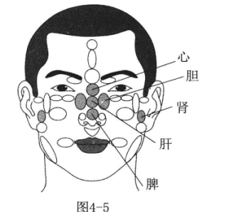 遗精按摩哪里有帮助图解_遗精按压哪个穴位可缓解