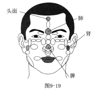 生发固发按摩哪个部位有效图解_脱发按摩方法及穴位