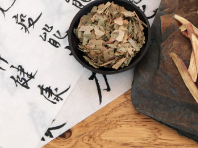 孙同郊补肾活血蠲痹汤加减治疗老年性骨质疏松症案