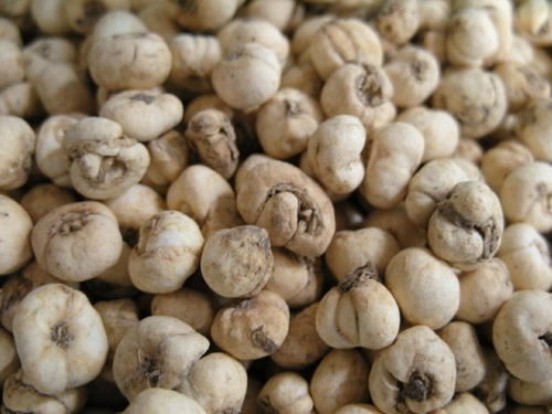 土贝母有毒吗？有哪些毒副作用与不良表现