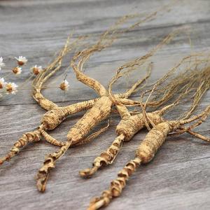 华山参有毒吗？有哪些毒副作用与不良表现