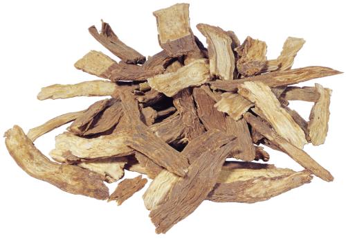 续断有毒吗?有哪些毒副作用与不良表现