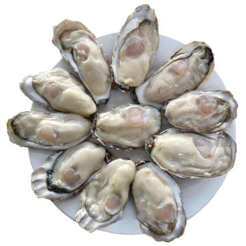 牡蛎(瓦楞子)有毒吗？有哪些毒副作用与不良表现