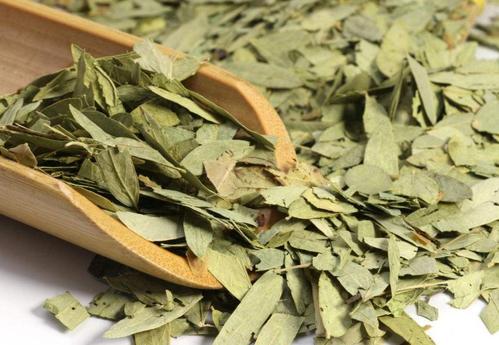 番泻叶中毒症状与解毒措施_番泻叶过敏的症状及处理