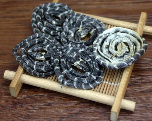 白花蛇中毒症状与解毒措施_白花蛇过敏的症状及处理