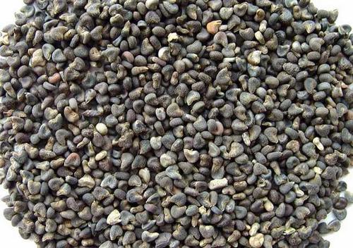 砂仁中毒症状与解毒措施_砂仁过敏的症状及处理