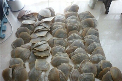 穿山甲中毒症状与解毒措施_穿山甲过敏的症状及处理