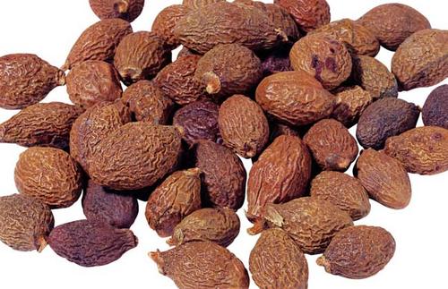 胖大海中毒症状与解毒措施_胖大海过敏的症状及处理