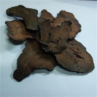 麝香中毒症状与解毒措施_麝香过敏的症状及处理