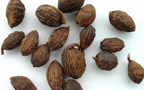 罂粟壳中毒症状与解毒措施_罂粟壳过敏的症状及处理