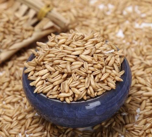 女人吃莜麦可以美容美白吗？莜麦女性怎么吃比较好