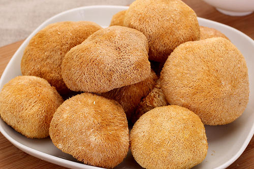 女人吃猴头菇可以美容美白吗?猴头菇女性怎么吃比较好