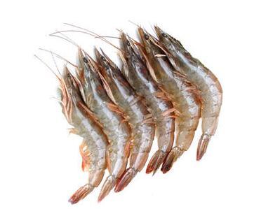 女人吃海虾可以美容美白吗？海虾女性怎么吃比较好