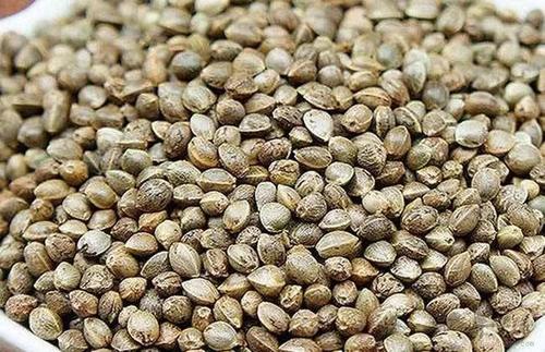 女人吃火麻仁可以美容美白吗？火麻仁女性怎么吃比较好