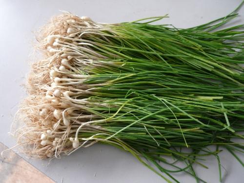 薤白的营养价值及功效与作用_有什么好处与禁忌食用方法