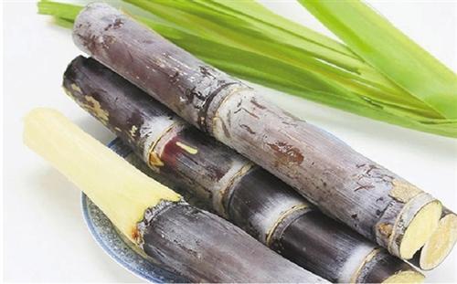 甘蔗的营养价值及功效与作用_有什么好处与禁忌食用方法