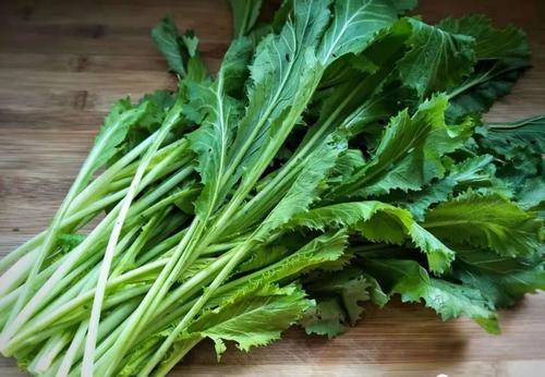 雪里蕻的药用价值与功效-哪些人不能吃雪里蕻