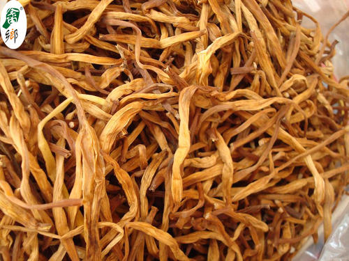 金针菜的药用价值与功效-哪些人不能吃金针菜