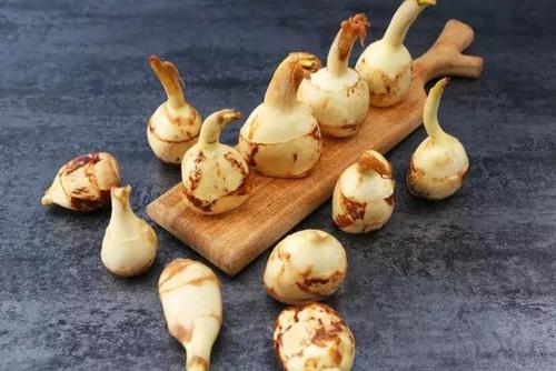 慈菇的药用价值与功效-哪些人不能吃慈菇