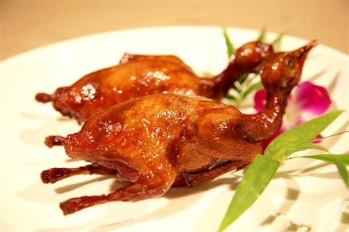 鸽肉的药用价值与功效-哪些人不能吃鸽肉