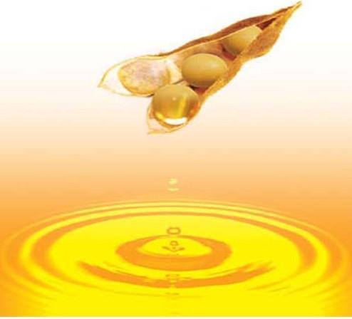 豆油的药用价值与功效-哪些人不能吃豆油