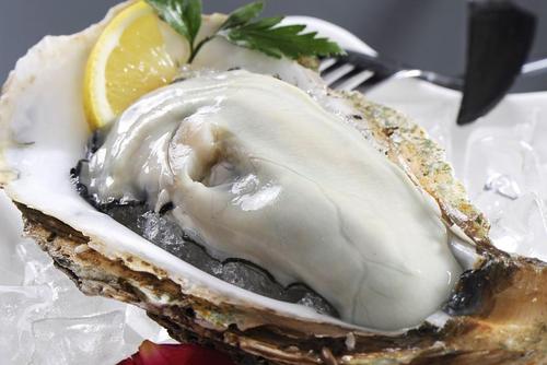 牡蛎的药用价值与功效-哪些人不能吃牡蛎