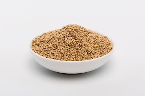 炒芝麻的作用与功效、做法-养肝护肝功效与营养价值