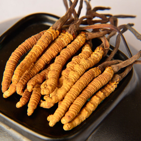 冬虫夏草炖黄雀的作用与功效、做法-壮骨强身功效与营养价值