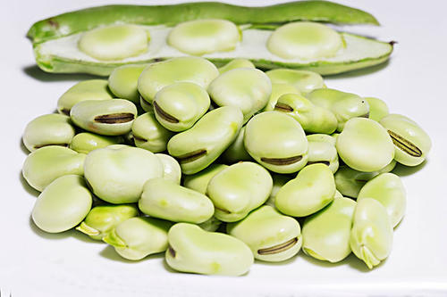 炒茭白绿蚕豆的作用与功效、做法-壮骨强身功效与营养价值