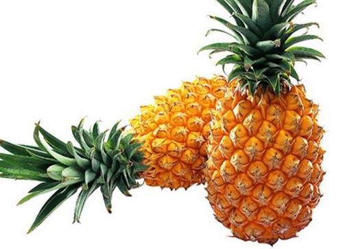 水晶菠萝的作用与功效、做法-补肾壮阳功效与营养价值